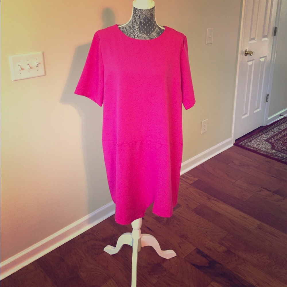 NEON PINK Drop Waist Sz 18/20